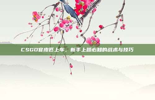 CSGO官皮匹上车，新手上路必知的战术与技巧