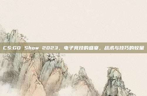 CS:GO Show 2023，电子竞技的盛宴，战术与技巧的较量