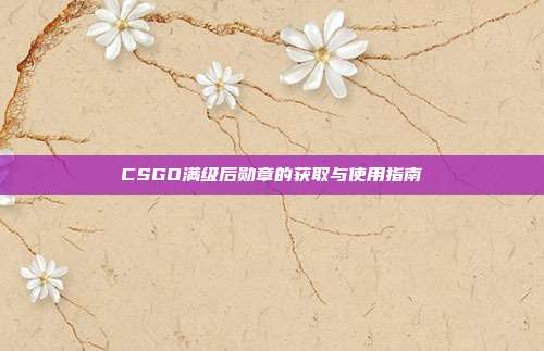 CSGO满级后勋章的获取与使用指南