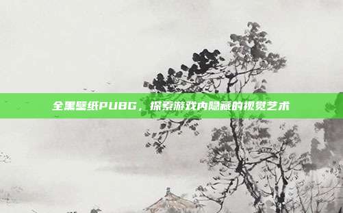 全黑壁纸PUBG，探索游戏内隐藏的视觉艺术