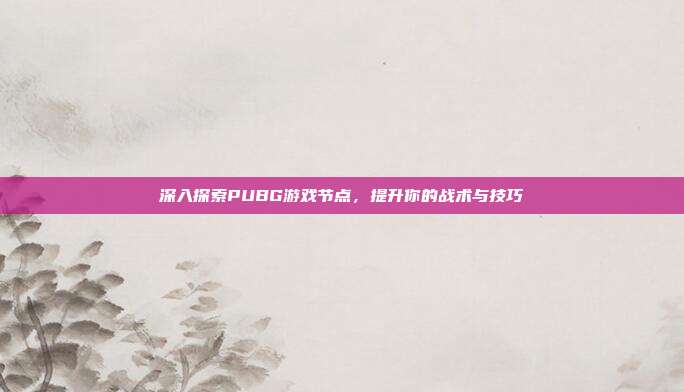 深入探索PUBG游戏节点，提升你的战术与技巧