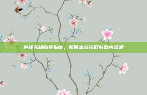 逆战天极购买指南，如何高效获取游戏内资源