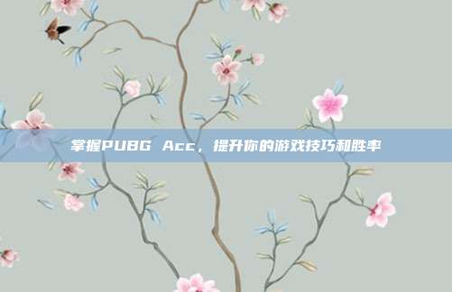 掌握PUBG Acc，提升你的游戏技巧和胜率