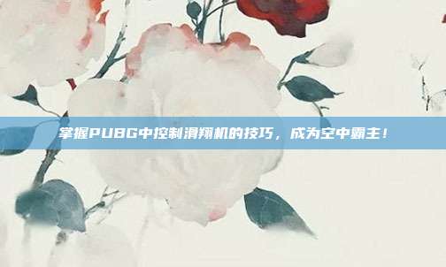 掌握PUBG中控制滑翔机的技巧，成为空中霸主！