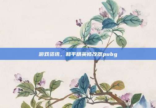 游戏资讯，和平精英修改器pubg