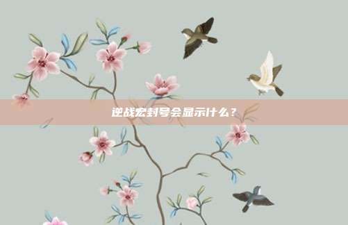 逆战宏封号会显示什么？