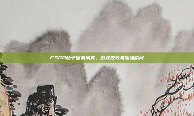 CSGO茄子图集搞笑，游戏技巧与趣味瞬间