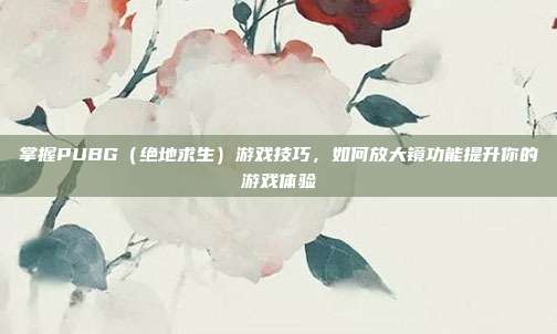 掌握PUBG（绝地求生）游戏技巧，如何放大镜功能提升你的游戏体验