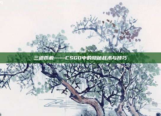 三道爪痕——CSGO中的隐秘战术与技巧