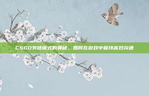 CSGO勿扰模式的奥秘，如何在游戏中保持高效沟通