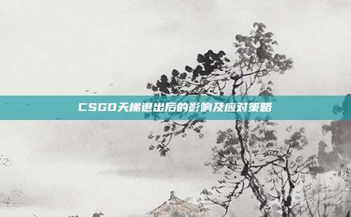 CSGO天梯退出后的影响及应对策略