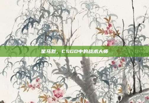 星马烈，CSGO中的战术大师