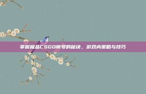 掌握极品CSGO帐号的秘诀，游戏内策略与技巧
