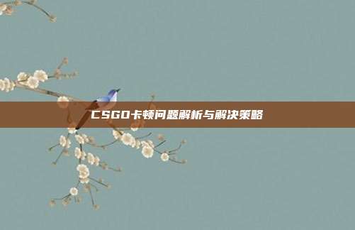 CSGO卡顿问题解析与解决策略