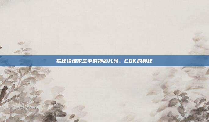 揭秘绝地求生中的神秘代码，CDK的奥秘