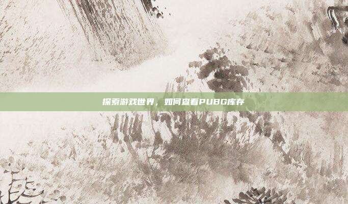 探索游戏世界，如何查看PUBG库存