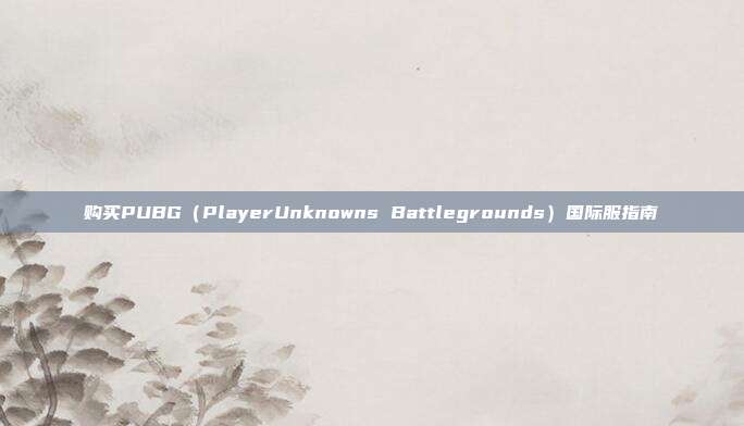 购买PUBG（PlayerUnknowns Battlegrounds）国际服指南