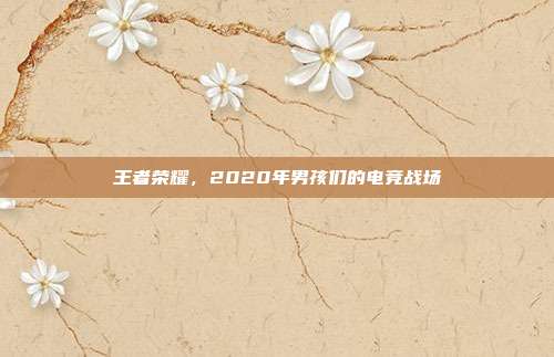 王者荣耀，2020年男孩们的电竞战场