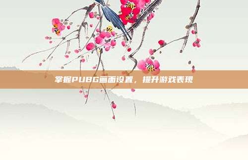 掌握PUBG画面设置，提升游戏表现