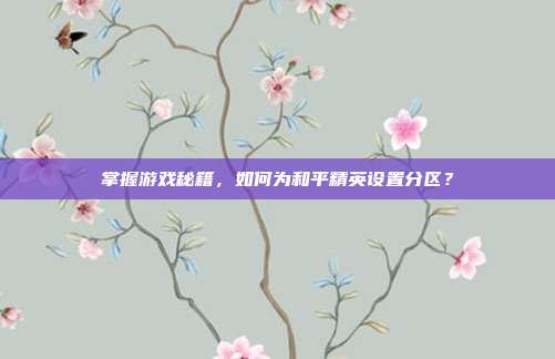 掌握游戏秘籍，如何为和平精英设置分区？