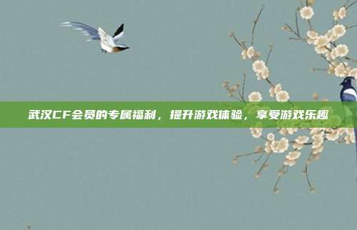 武汉CF会员的专属福利，提升游戏体验，享受游戏乐趣