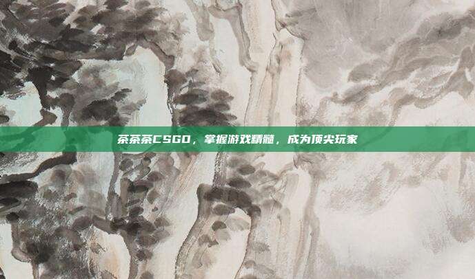 茶茶茶CSGO，掌握游戏精髓，成为顶尖玩家