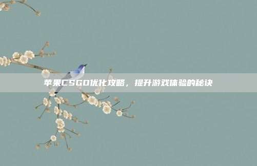 苹果CSGO优化攻略，提升游戏体验的秘诀
