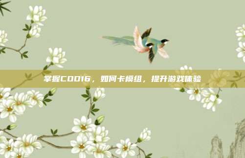 掌握COD16,如何卡模组,提升游戏体验