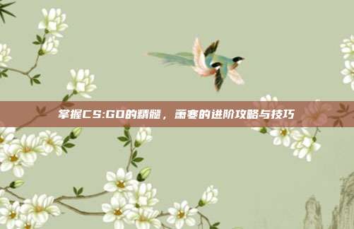 掌握CS:GO的精髓，萧寒的进阶攻略与技巧