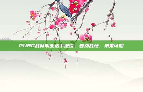 PUBG战队职业选手退役，告别战场，未来可期