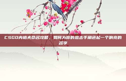 CSGO内格夫命名攻略，如何为你的狙击手角色起一个响亮的名字