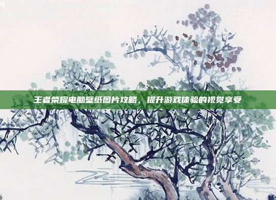 王者荣耀电脑壁纸图片攻略，提升游戏体验的视觉享受