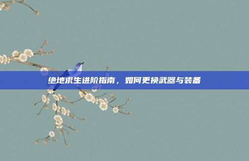 绝地求生进阶指南，如何更换武器与装备