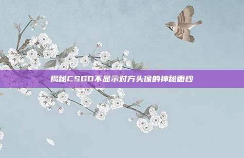 揭秘CSGO不显示对方头像的神秘面纱