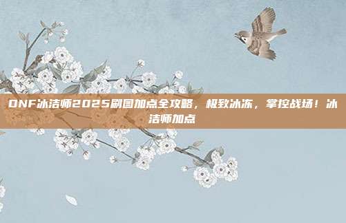 DNF冰洁师2025刷图加点全攻略，极致冰冻，掌控战场！冰洁师加点