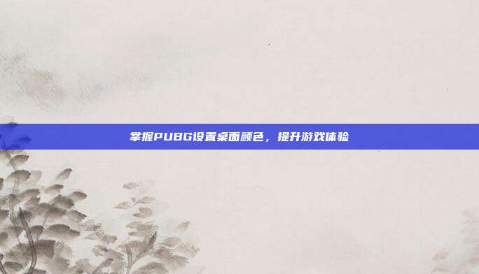 掌握PUBG设置桌面颜色，提升游戏体验