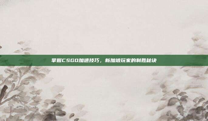 掌握CSGO加速技巧，新加坡玩家的制胜秘诀