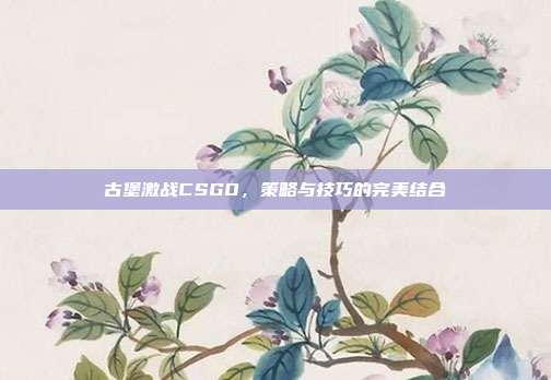 古堡激战CSGO,策略与技巧的完美结合