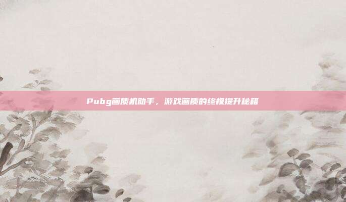Pubg画质机助手,游戏画质的终极提升秘籍