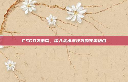 CSGO突击岛，深入战术与技巧的完美结合
