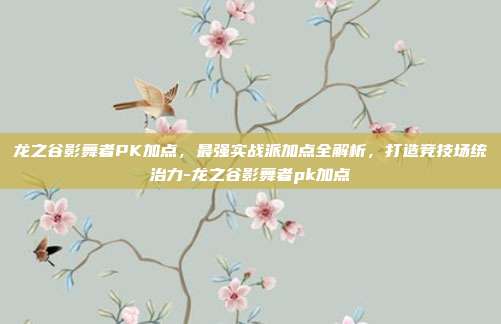 龙之谷影舞者PK加点，最强实战派加点全解析，打造竞技场统治力-龙之谷影舞者pk加点