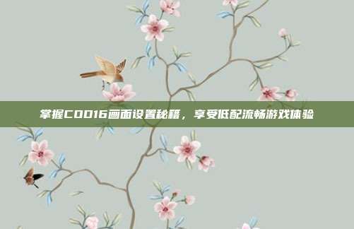 掌握COD16画面设置秘籍，享受低配流畅游戏体验