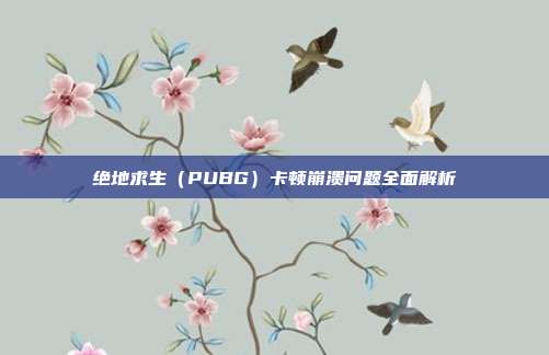 绝地求生（PUBG）卡顿崩溃问题全面解析