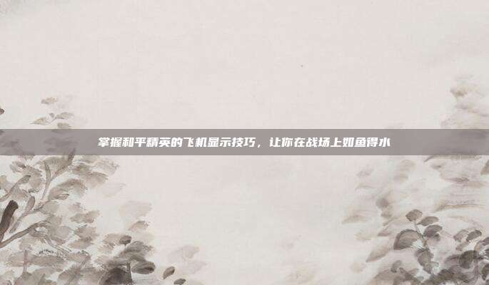 掌握和平精英的飞机显示技巧，让你在战场上如鱼得水