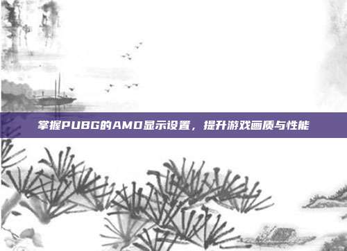掌握PUBG的AMD显示设置，提升游戏画质与性能
