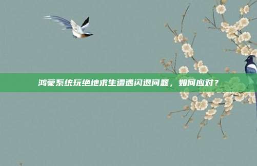鸿蒙系统玩绝地求生遭遇闪退问题,如何应对?