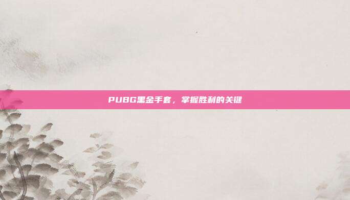 PUBG黑金手套，掌握胜利的关键