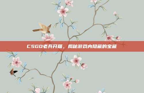 CSGO老兵开箱，揭秘游戏内隐藏的宝藏