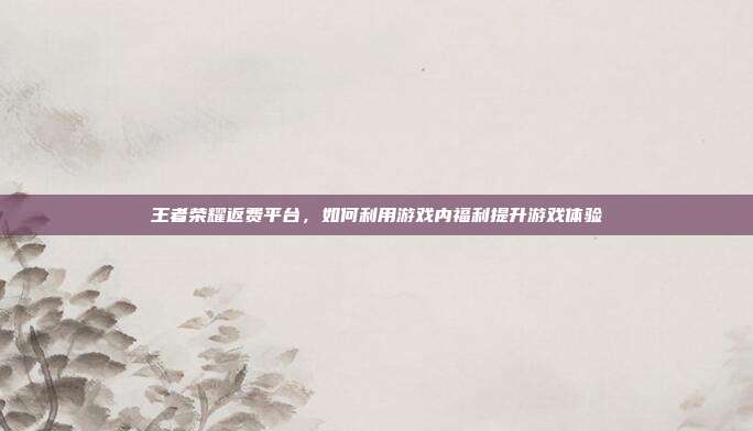 王者荣耀返费平台，如何利用游戏内福利提升游戏体验
