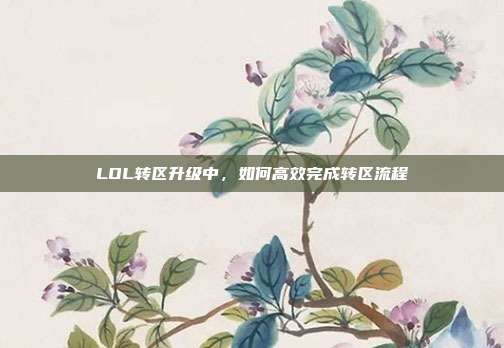 LOL转区升级中，如何高效完成转区流程